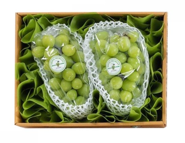 Korean Shine Muscat set