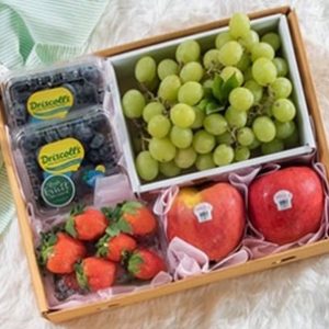 Mix Fruit set 1