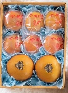 Japanese Mix Fruit Set 2