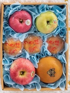 Japanese Mix Fruit Set 3