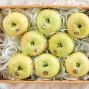 Orin Apple set