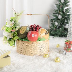 Jumbo Premium Fruit Set 10