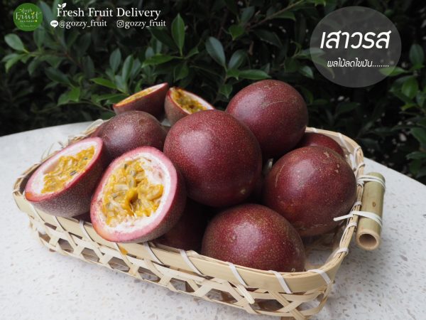 Passion Fruit THAI