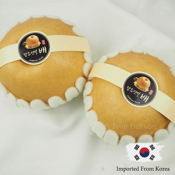 Pear KOREA