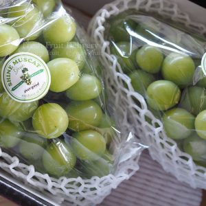 Shine muscat KOREA