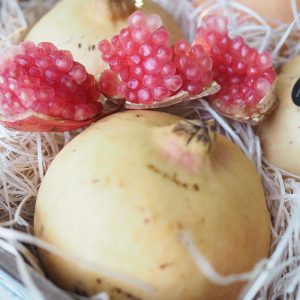 Pomegranate SPAIN