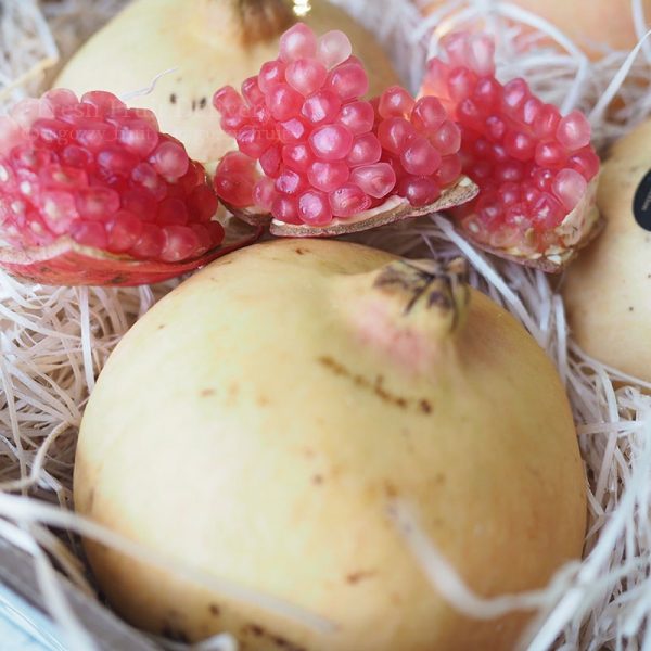 Pomegranate SPAIN