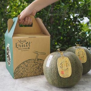 Melon JP-TH
