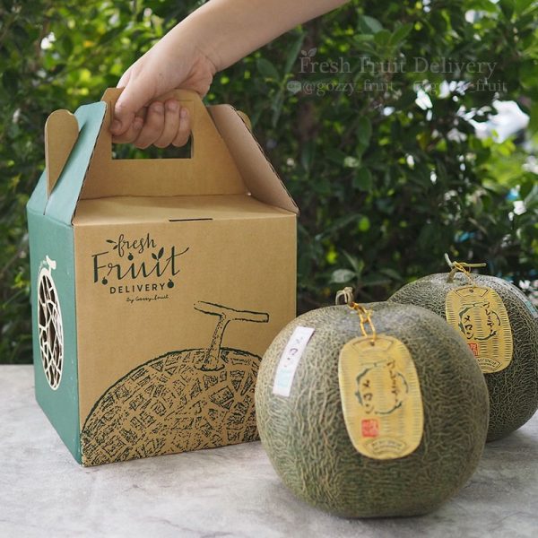 Melon JP-TH