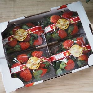 Strawberry KOREA 4 Pack