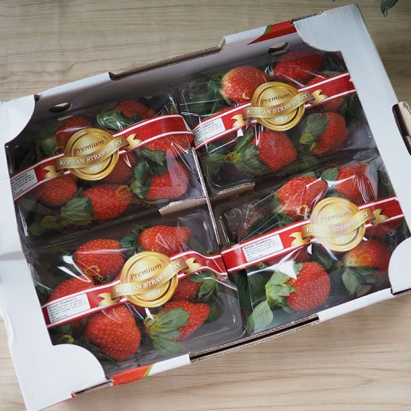 Strawberry KOREA 4 Pack