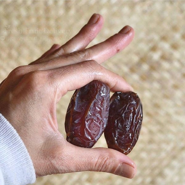 Medjoul Date ISRAEL