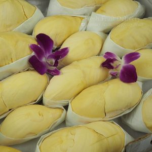 Monthong Durian THAI