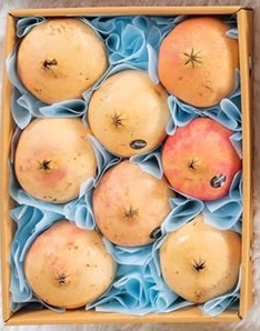 Pomegranate SPAIN set