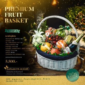 Premium Fruit Basket SET GZ-A
