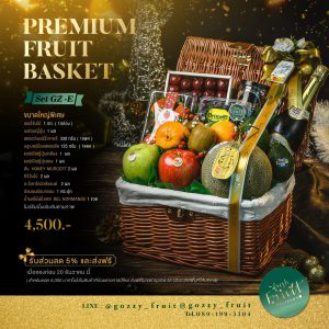 Premium Fruit Basket SET GZ-E