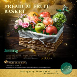Premium Fruit Basket SET GZ-F
