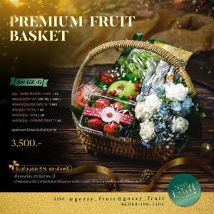 Premium Fruit Basket SET GZ-G