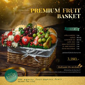 Premium Fruit Basket SET GZ-H