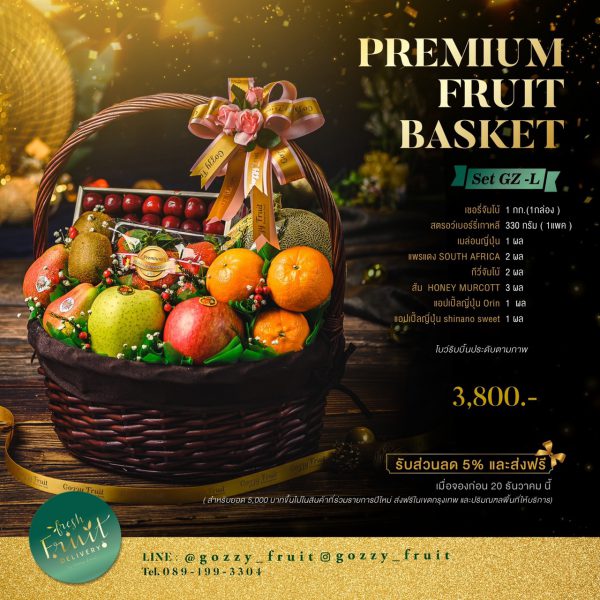 Premium Fruit Basket SET GZ-L