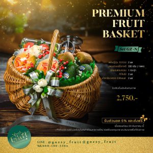 Premium Fruit Basket SET GZ-N