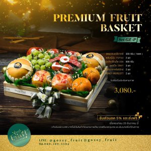 Premium Fruit Basket SET GZ-P