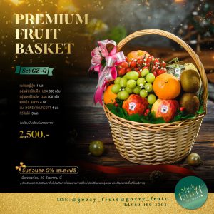 Premium Fruit Basket SET GZ-Q