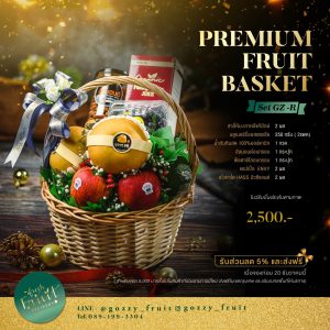 Premium Fruit Basket SET GZ-R