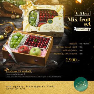 Gift Box Mix Fruit Set GZ-A