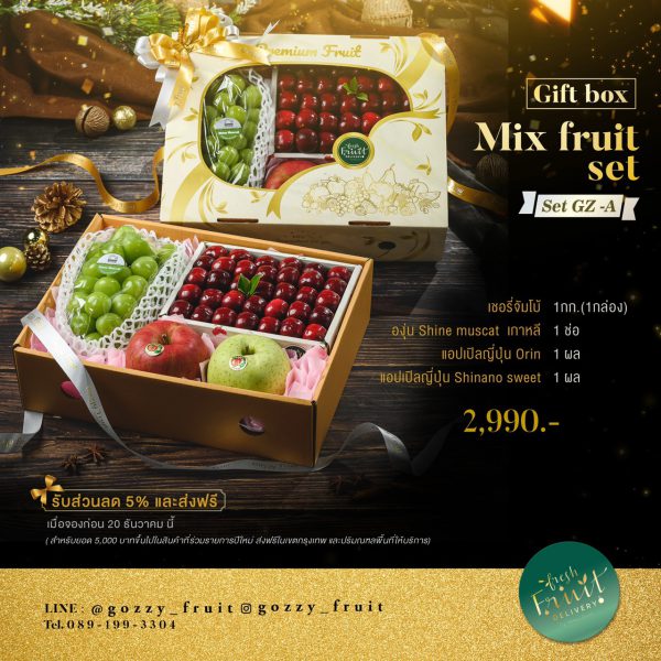 Gift Box Mix Fruit Set GZ-A