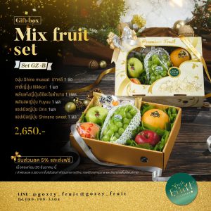 Gift Box Mix Fruit Set GZ-B