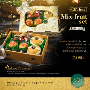 Gift Box Mix Fruit Set GZ-C