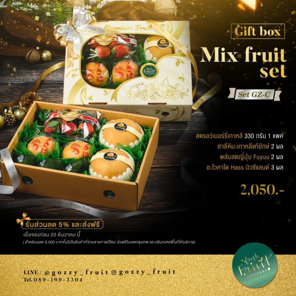 Gift Box Mix Fruit Set GZ-C