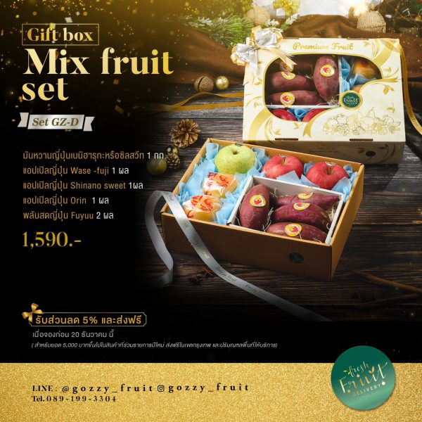 Gift Box Mix Fruit Set GZ-D