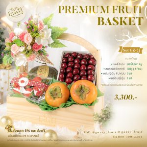 Premium Fruit Basket SET GZ-2