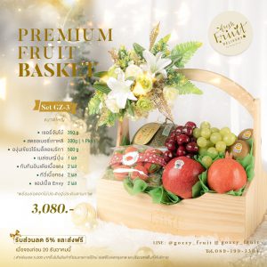 Premium Fruit Basket SET GZ-3