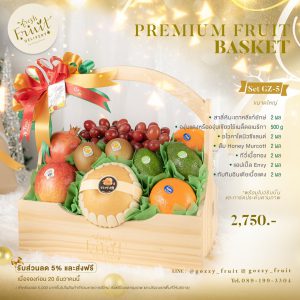 Premium Fruit Basket SET GZ-5