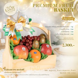 Premium Fruit Basket SET GZ-6
