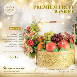 Premium Fruit Basket SET GZ-8