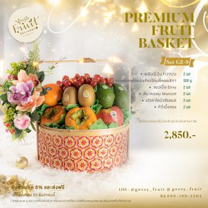 Premium Fruit Basket SET GZ-9