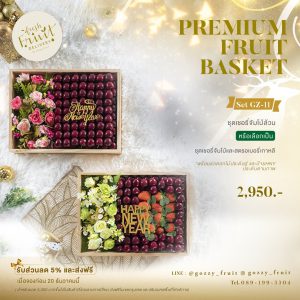 Premium Fruit Basket SET GZ-11