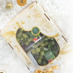 Grape USA Set