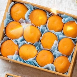 Honey murcott Set
