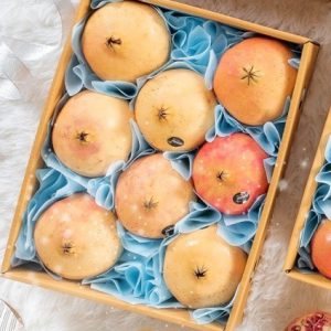 Pomegranate (SPAIN) Set