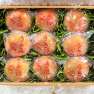 Fuuyu Set